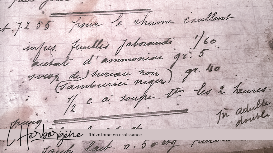 Recette médicinale ancienne pour le rhume